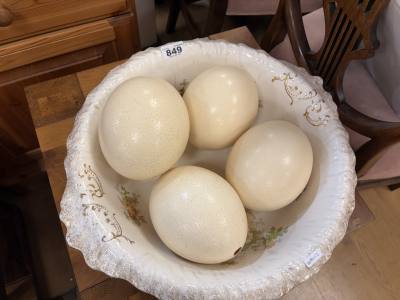 WASH BOWL + OSTRICH EGGS