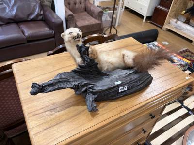 STUFFED STOAT