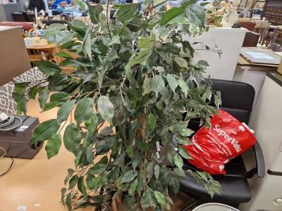 LOT ARTIFICAL PLANTS