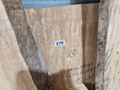 DRIED COLOURED ASH (160CM)
