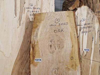 DRIED OAK (160CM)