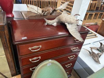 MAHOGANY DRAWER CHEST