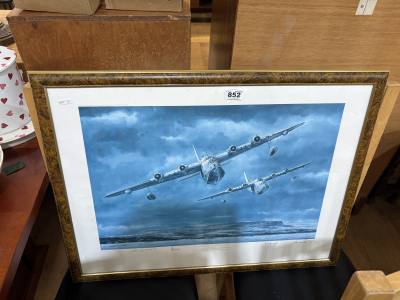LIMITED PLANE PRINT