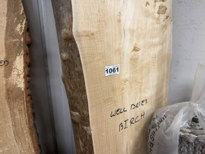 PIECE OF BIRCH (240CM)