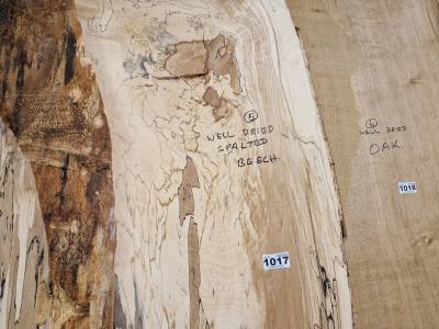 SPALTED BEECH (215CM)