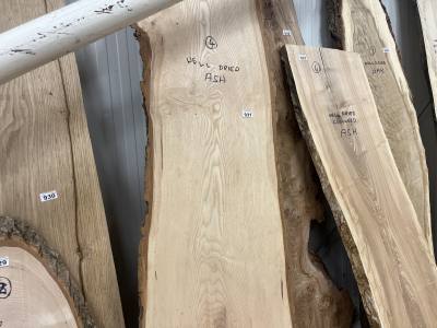 DRIED ASH (205CM)