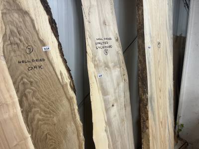 SPALTED SYCAMORE (210CM)