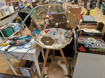 BIRD CAGE + ACCESSORIES