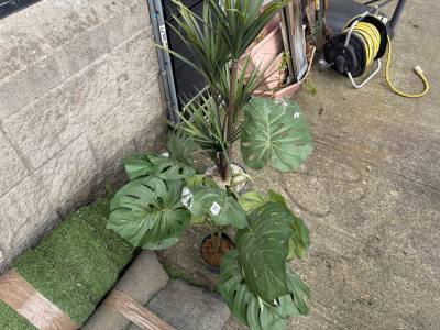 2 X ARTIFICIAL PLANTS