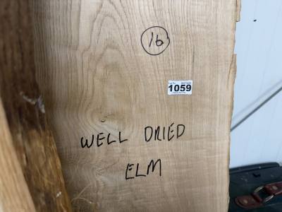 PIECE OF ELM (205 CM)