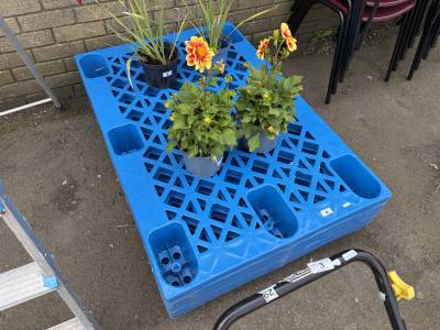 5 BLUE HEAVY DUTY PALLETS