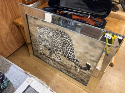 MIRROR FRONTED PICTURE