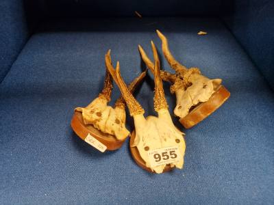 3 X MOUNTED HORNS