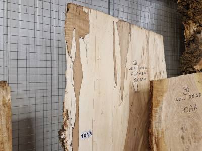 FLAMED BEECH (180CM)