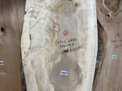 SPALTED SYCAMORE (210CM)