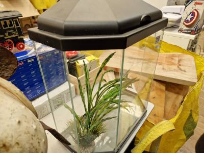 TABLE TOP FISH TANK