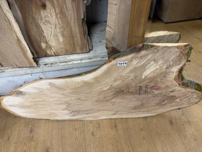 PIECE OF BEECH (110CM)