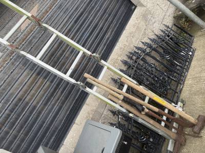 LADDER + GARDEN TOOLS