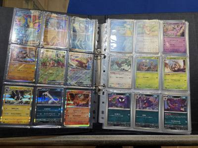 POKEMON BINDER