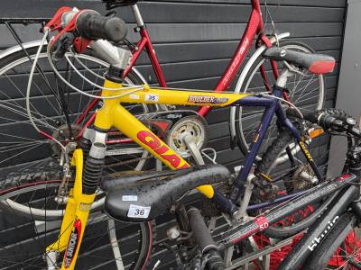 GIANT BIKE