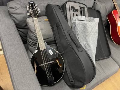 MANDOLIN + MUSIC STAND
