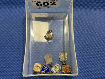 BOX OF SILVER + ENAMEL PENDANTS