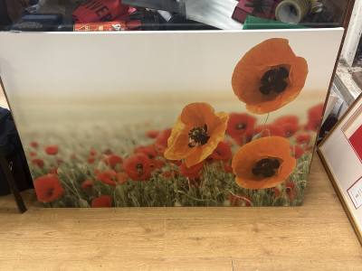 POPPY CANVAS PICTURE
