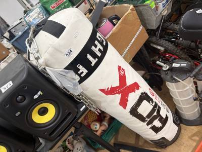 PRO X BOXING BAG