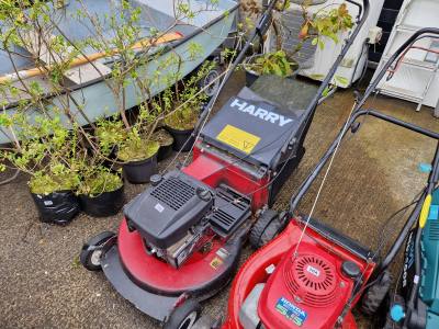 HARRY PETROL MOWER