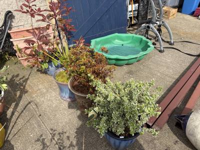 4 X GLAZED PLANTERS