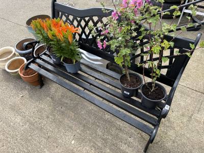 GARDEN BENCH