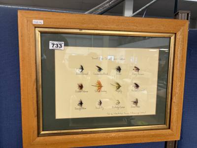 FRAMED FLIES