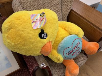 LARGE CUDDLY TOY