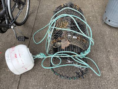 LOBSTER CAGE