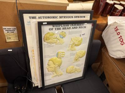 3 X AUTONOMIC CHARTS