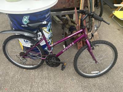 LADIES BIKE