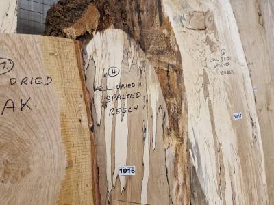 SPALTED BEECH (210CM)
