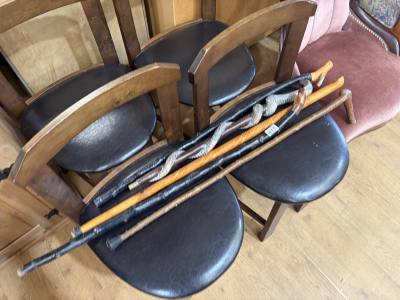 LOT OF WALKING STICKS
