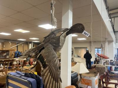 STUFFED SPOON BIRD