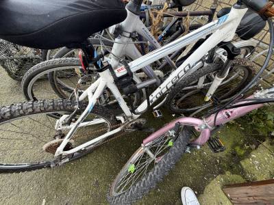 CARRERA BIKE
