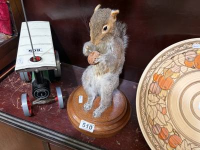 STUFFED SQUIRREL