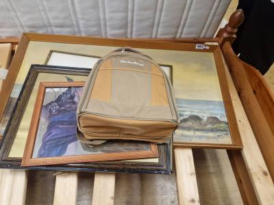 LOT OF PICTURES + PICNIC SET