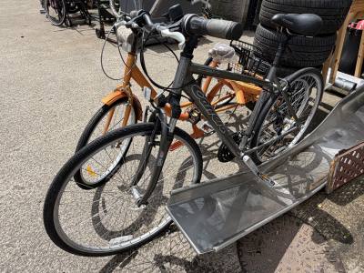 CARRERA MOUNTAIN BIKE