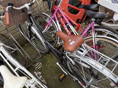 LADIES VIKING BIKE