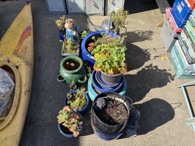LOT OF PLANTERS
