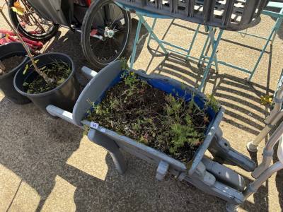 WHEELBARROW PLANTER