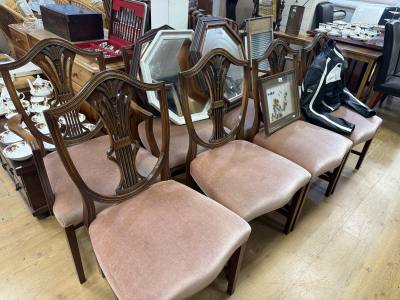 8 X SHIELD BACK CHAIRS