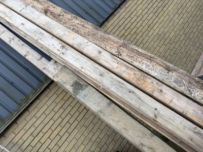 LOT OF TIMBER