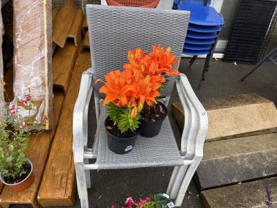 4 X GARDEN CHAIRS