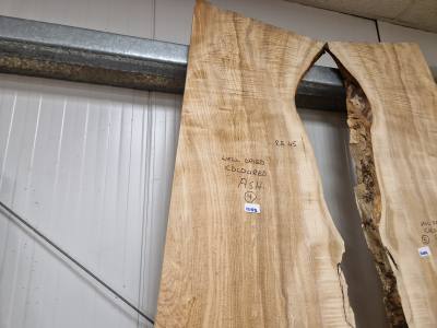 COLOURED ASH (230CM)